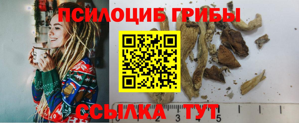 Новочебоксарск  где найти   Вход с VPN  Псилоцибиновые грибы GOLDEN TEACHER 